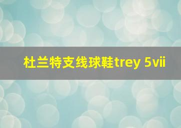 杜兰特支线球鞋trey 5ⅶ